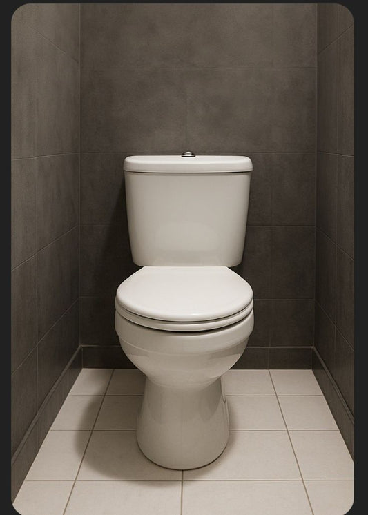 Toilette avec un abattant WC classique 