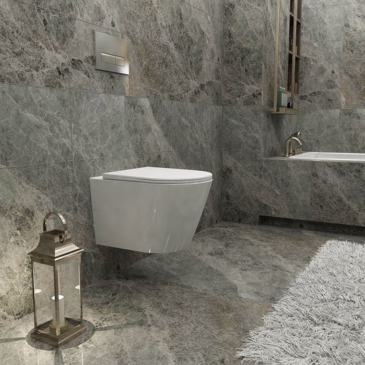 Toilettes modernes avec un abattant blanc