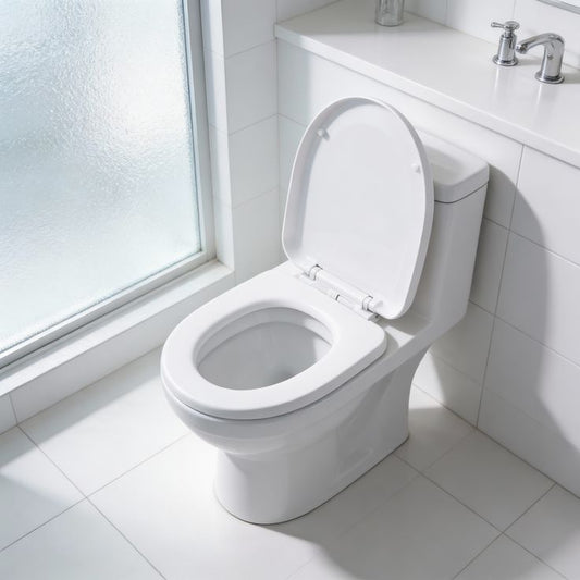 Toilette blanc avec abattant wc blanc 