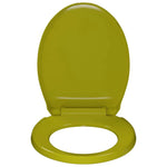 Soft-Close Toilet Seat Green Oval, Suitable for Homes, Restaurants and Commercial Spaces.