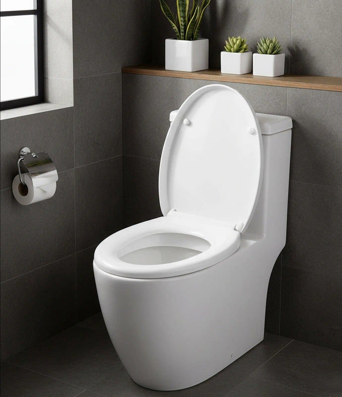 Abattant WC forme O
