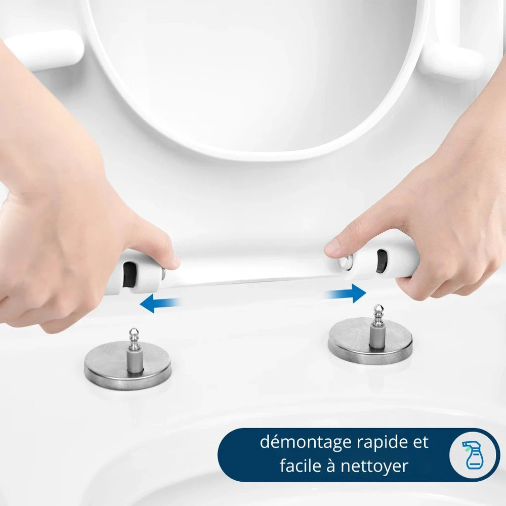 Système de déclipsage rapide d'un abattant WC 