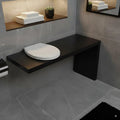 Abattant WC déclipsable