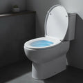 Abattant WC LED